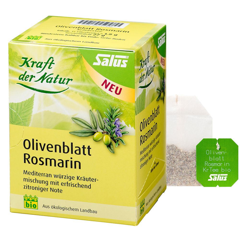 Karton mit Kräutertee. Aufschrift: Olivenblatt Rosmarin, Salus, Bio-Siegel. Teebeutel daneben.