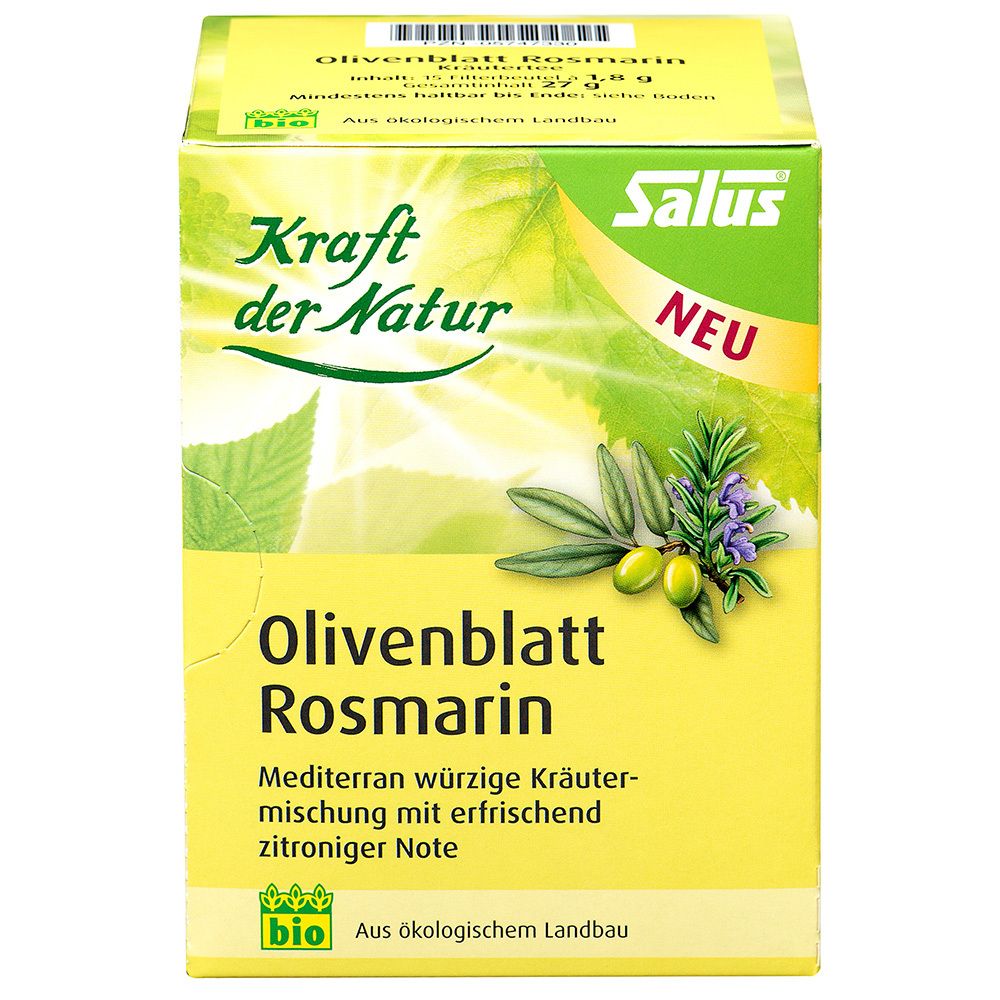 Karton mit Kräutertee. Aufschrift: Olivenblatt Rosmarin, Salus, Bio-Siegel.