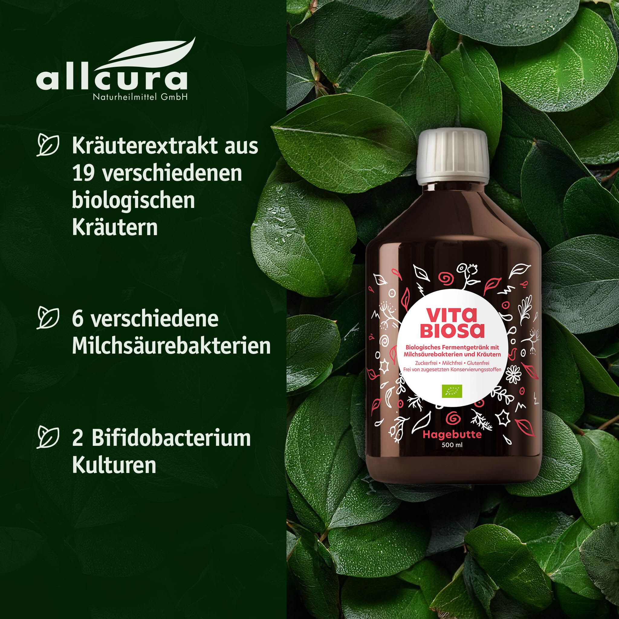 Vita Biosa Hagebutte-Flasche in Blättern. Text: Kräuterextrakt, 6 Milchsäurebakterien, 2 Bifidobakterium Kulturen.