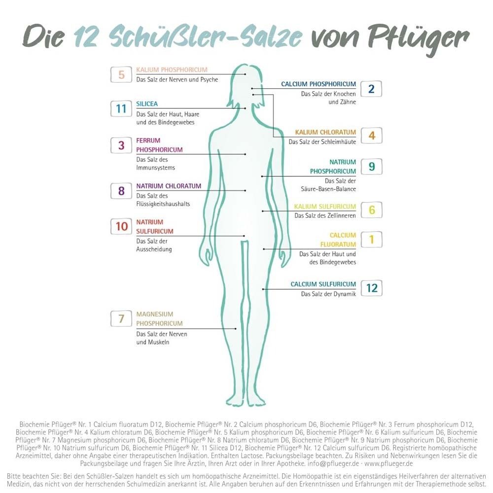 Grafik: 12 Schüßler-Salze von Pflüger. Körper mit eingezeichneten Bereichen. Text: Magnesium phosphoricum.