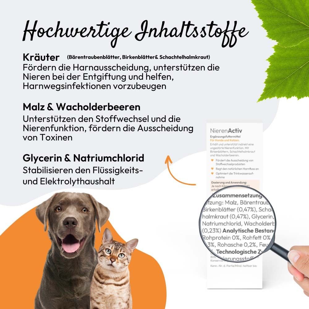 Text und Abbildung von Hund und Katze. Text: NierenActiv für Hunde und Katzen. Logo PHA PETVET. Hochwertige Inhaltsstoffe.