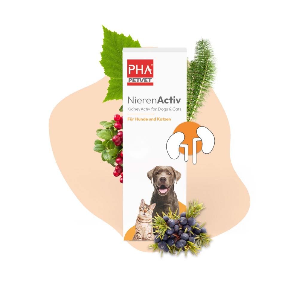 Produktverpackung mit Kräutern und Abbildung von Hund und Katze. Text: NierenActiv für Hunde und Katzen. Logo PHA PETVET.
