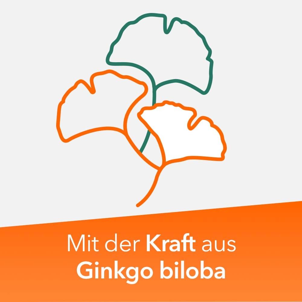 Grafik mit Ginkgo-Blättern. Text: 'Mit der Kraft aus Ginkgo biloba'.