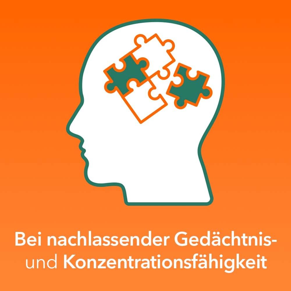 Grafik eines Kopfes mit Puzzleteilen. Text: 'Bei nachlassender Gedächtnis- und Konzentrationsfähigkeit'.