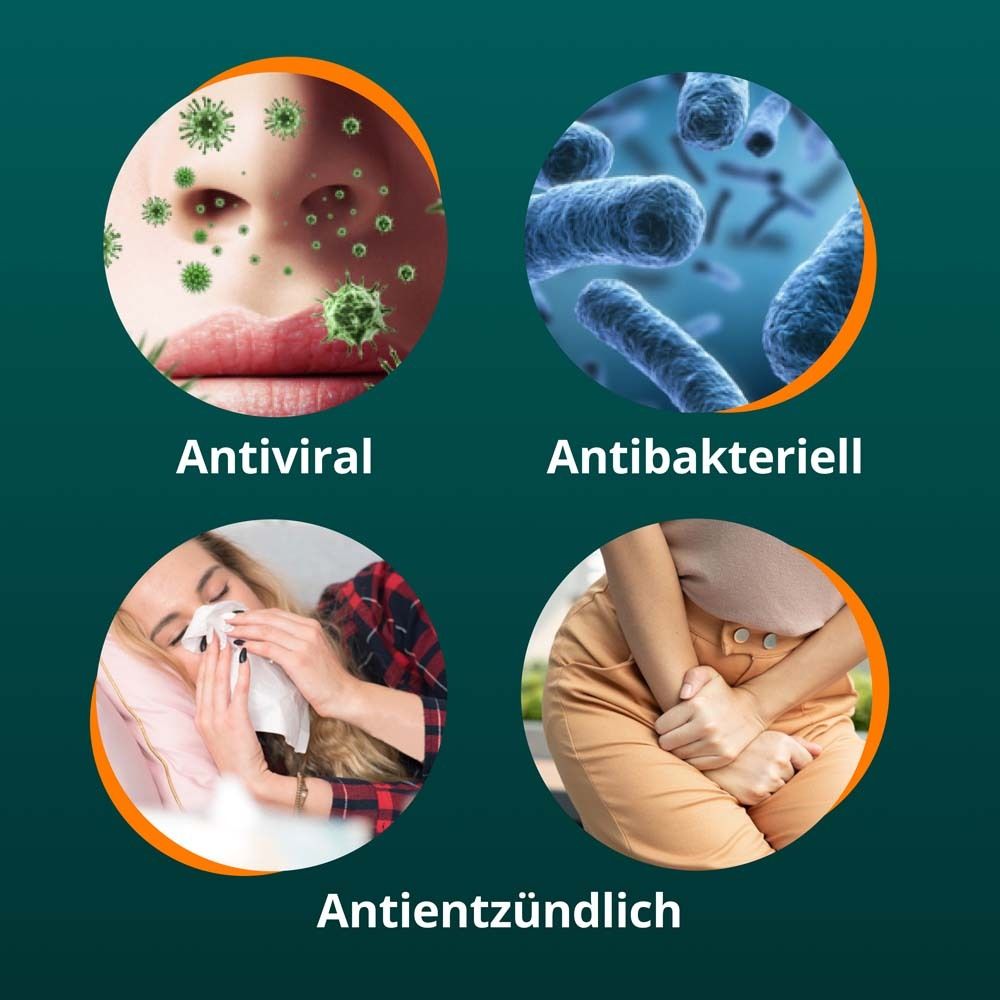 Kreisförmige Illustrationen: Viren, Bakterien, Husten, Blasenentzündung. Text: Antiviral, Antibakteriell, Entzündungshemmend.