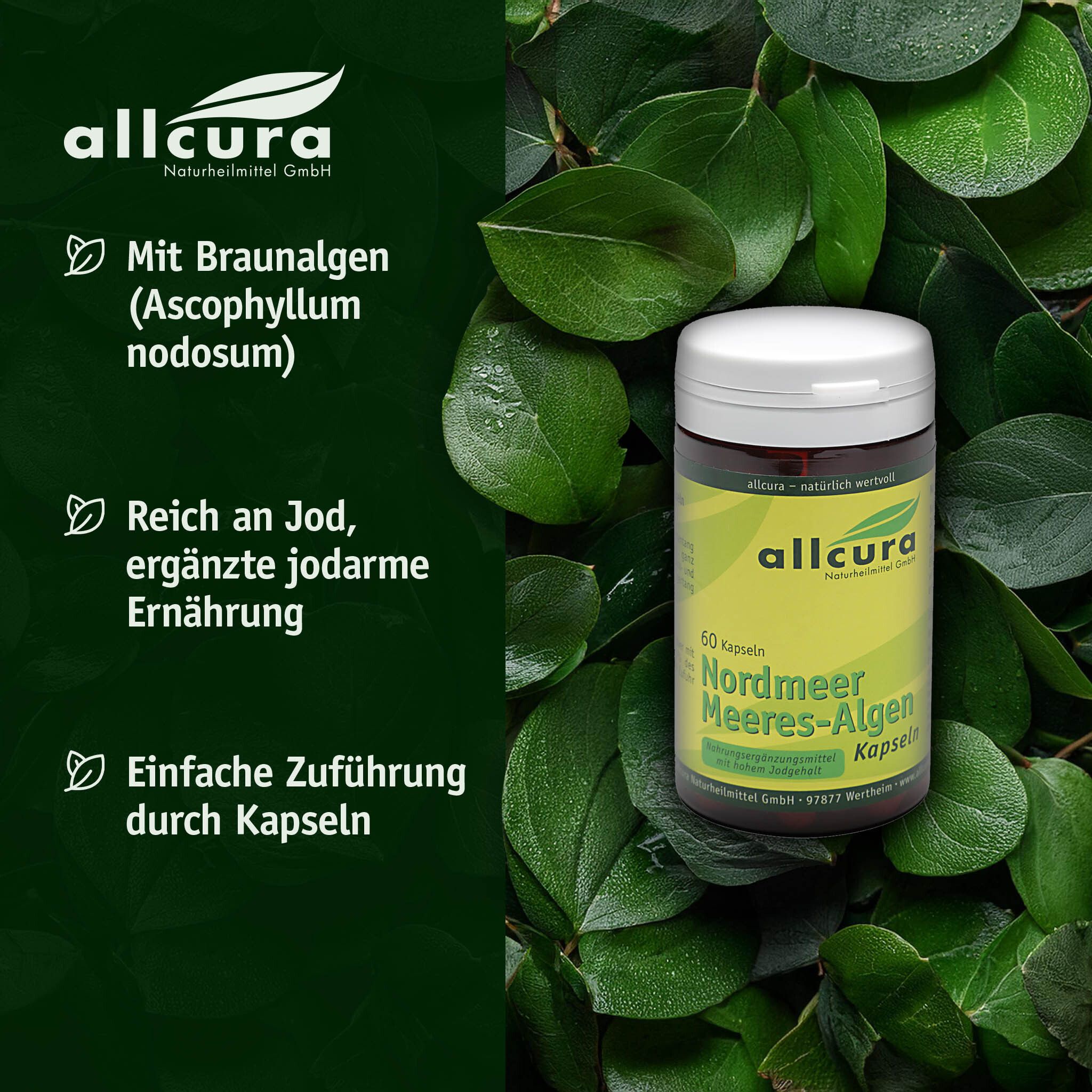 Dose mit Kapseln, umgeben von grünen Blättern. Text: Mit Braunalgen, Reich an Jod, Einfache Zuführung durch Kapseln.