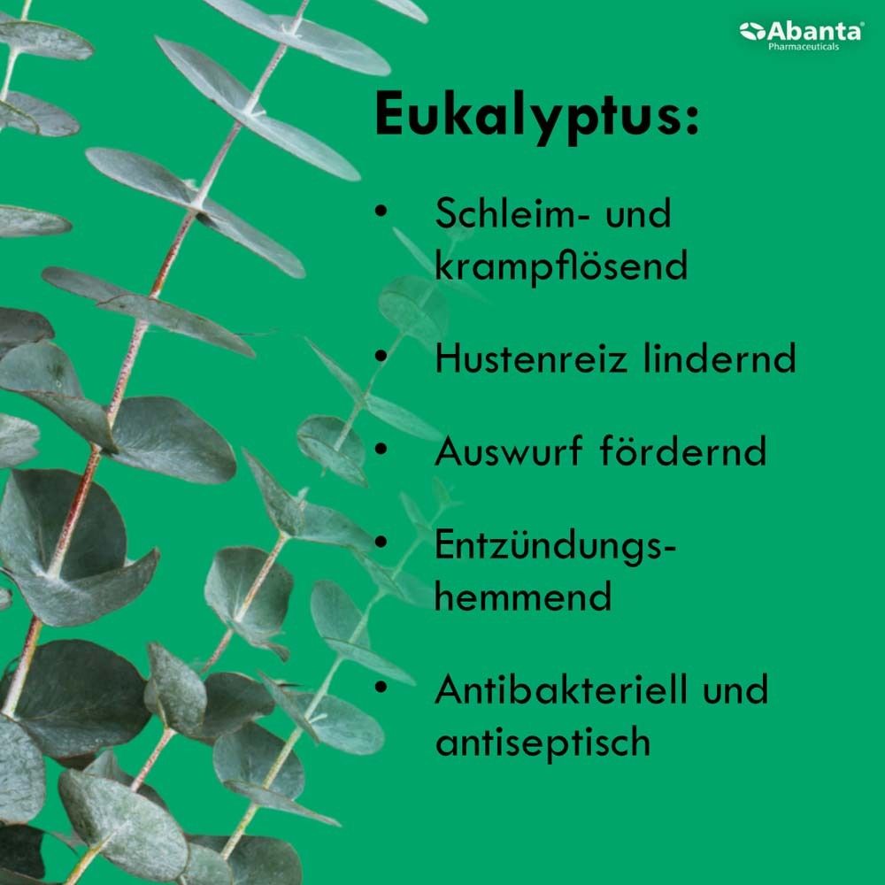 Grüner Hintergrund mit Eukalyptus-Zweigen. Text: Eukalyptus: Schleim- und krampflösend, Hustenreiz lindernd, Auswurf fördernd, entzündungshemmend.