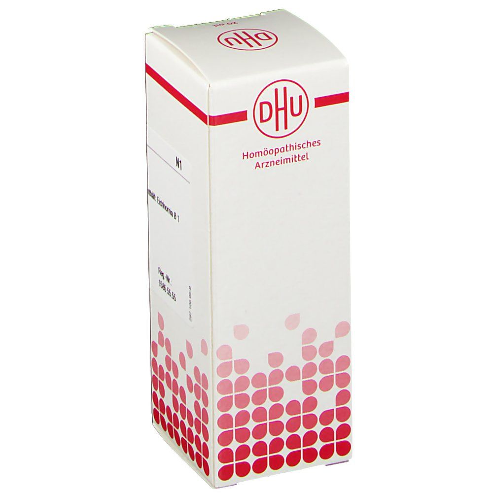Weiße Faltschachtel mit rotem DHU-Logo und Text. Aufschrift: Homöopathisches Arzneimittel. N1. Enthält Eichhornia Ø 1.