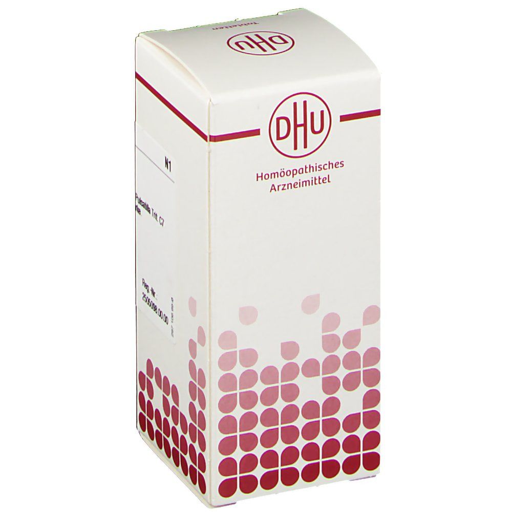 DHU-Tablettenpackung. Aufschrift: Homöopathisches Arzneimittel. Weißer Karton mit roter Schrift und Logo. N1.