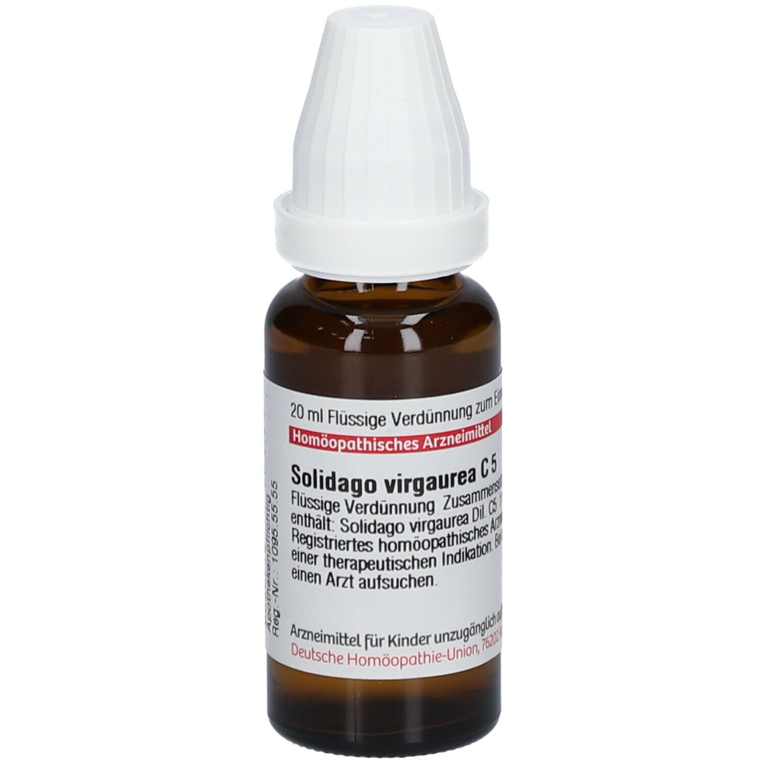 DHU Solidago Virgaurea C5
