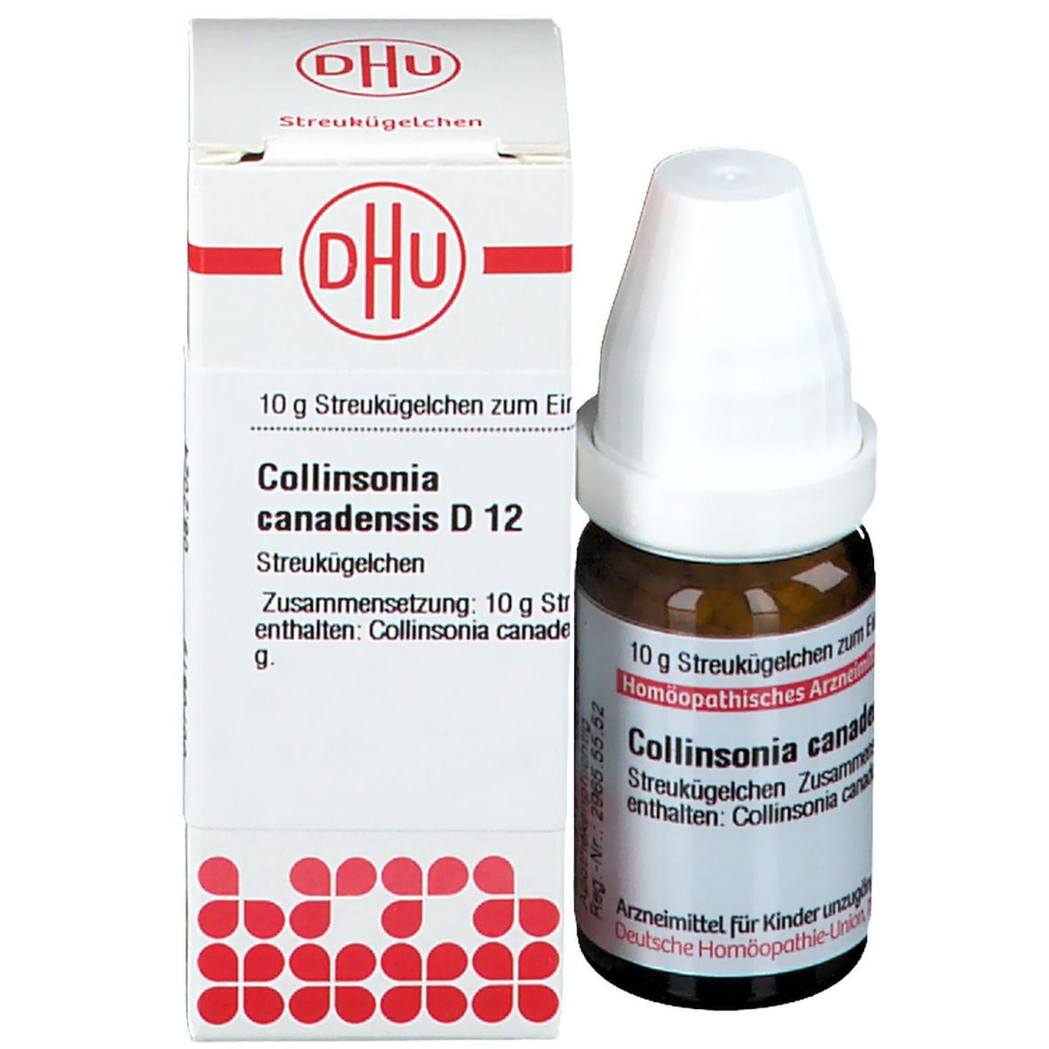 DHU Collinsonia Canadensis D12