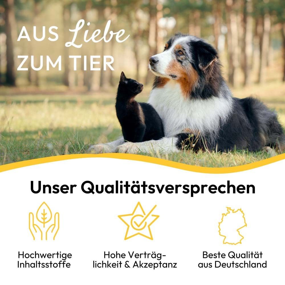 Hund und Katze liegen zusammen. Text: Aus Liebe zum Tier. Qualitätsversprechen: Hochwertige Inhaltsstoffe, hohe Verträglichkeit.