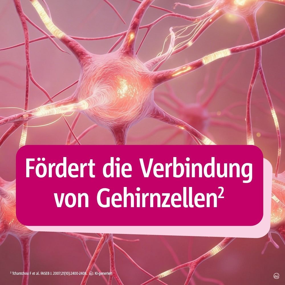 Grafik mit drei Symbolen. Text: 1x1 Tablette täglich, pflanzlich, Wirkung in Studien belegt.