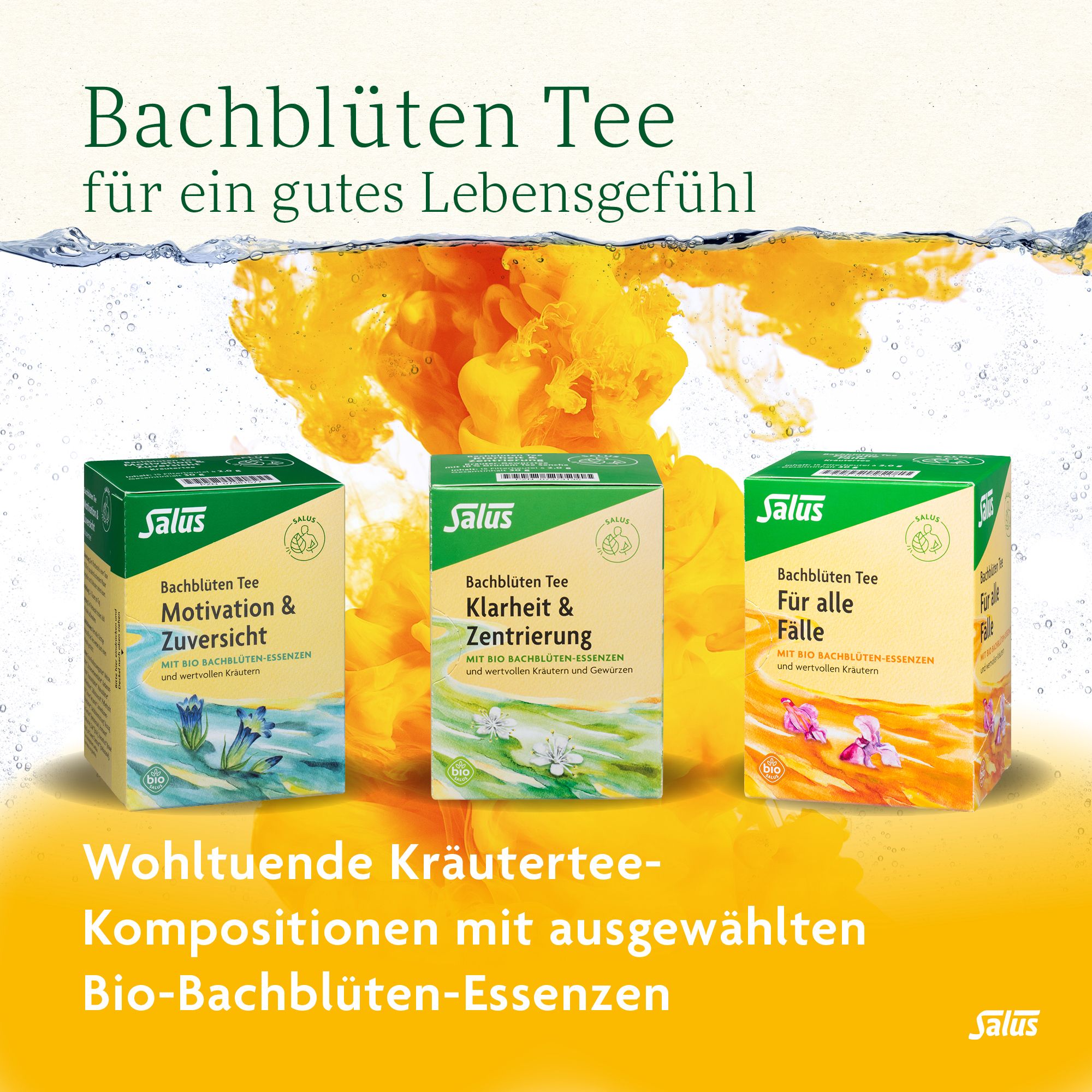 Salus® Bachblüten-Tee Kraft & Energie