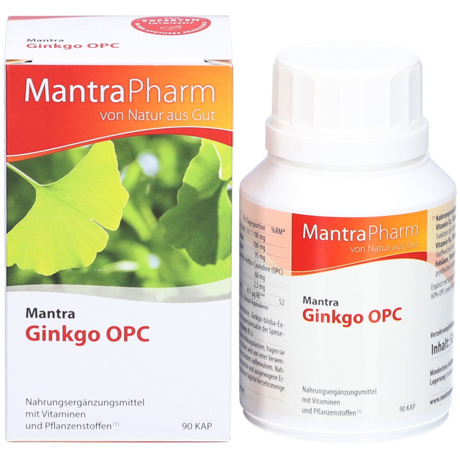 Produktverpackung und Flasche. Schachtel mit Ginkgo-Blatt-Design. Flasche mit Produktnamen: Mantra Ginkgo OPC. 90 Kapseln.
