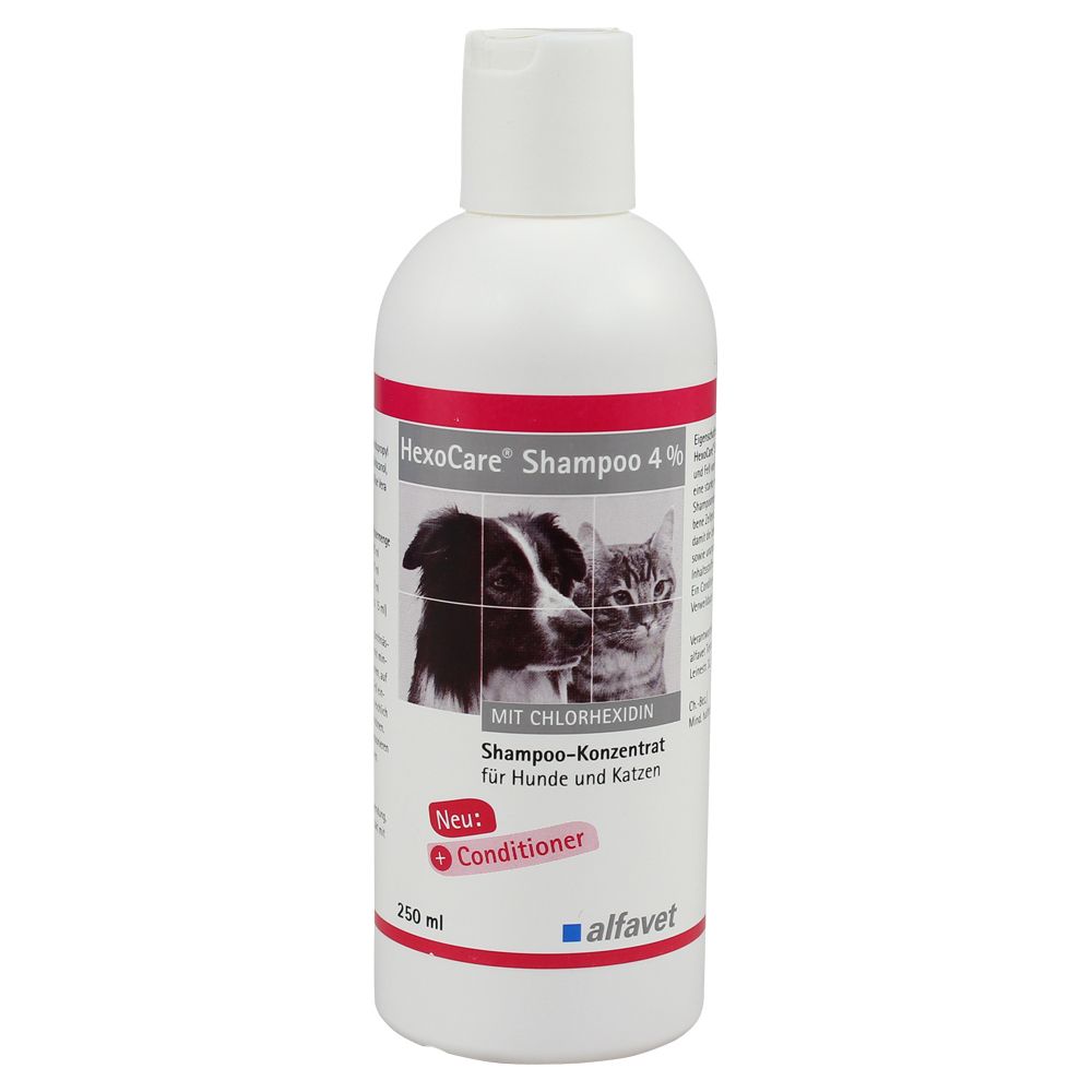 Weiße Flasche HexoCare® Shampoo 4% für Hunde und Katzen. Etikett mit Hund, Katze und Produktinformationen.