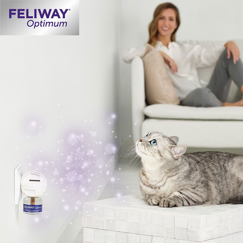 Katze blickt auf Diffusor. FELIWAY® Optimum Diffusor in Wandsteckdose. Frau sitzt auf Sofa.