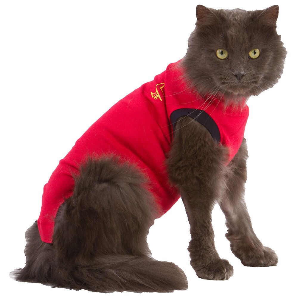 Medical Pet Shirt® Katze XXS