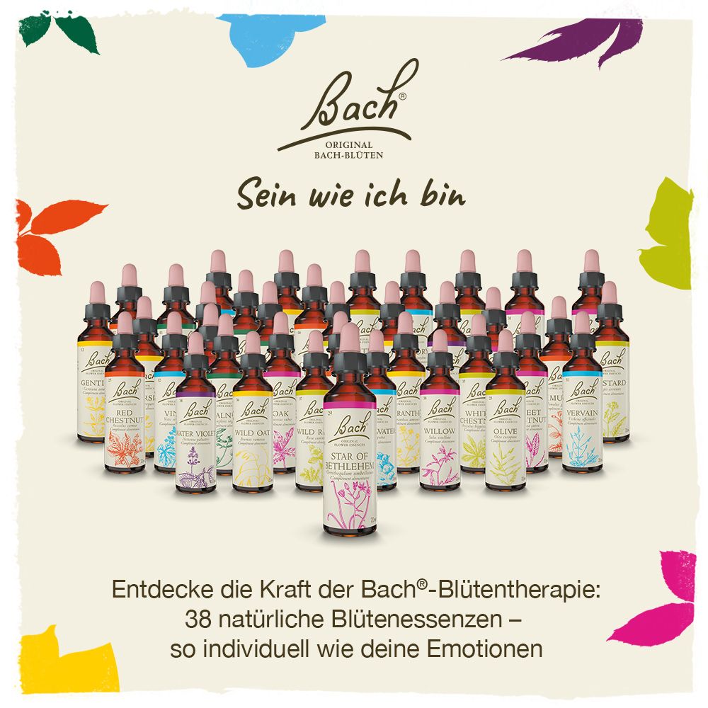 BACH®-BLÜTEN Innere Balance Set