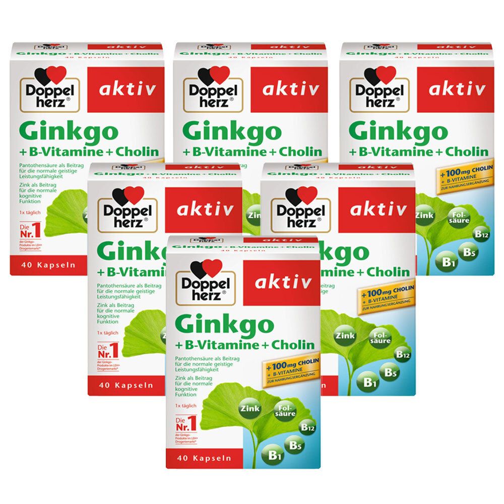 Doppelherz ® aktiv Ginkgo + B-Vitamine + Cholin