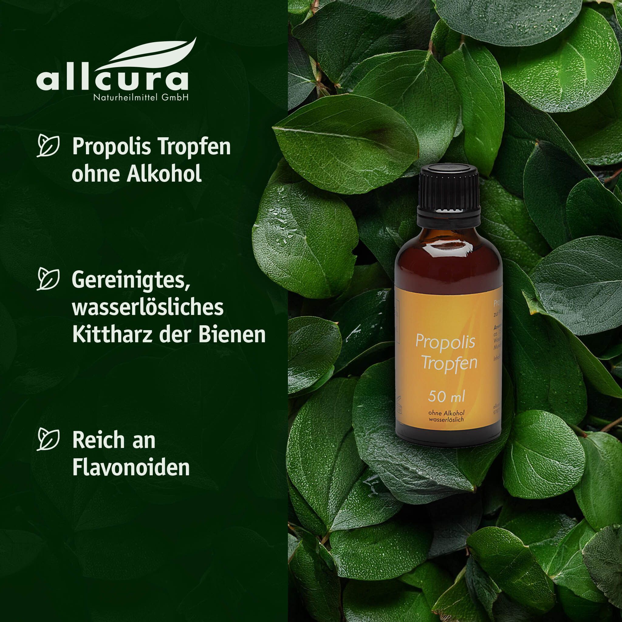 Braune Glasflasche mit schwarzem Deckel. Etikett mit Produktbezeichnung. Hintergrund: grüne Blätter.
