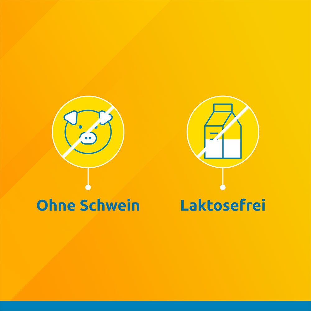 Symbole: Ohne Schwein und laktosefrei.