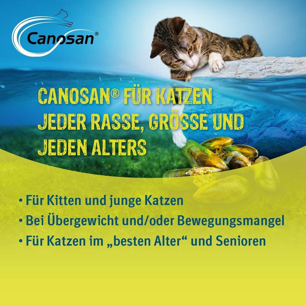 Werbebild mit Katze im Wasser. Text: Canosan® für Katzen jeder Rasse, Größe und jeden Alters.