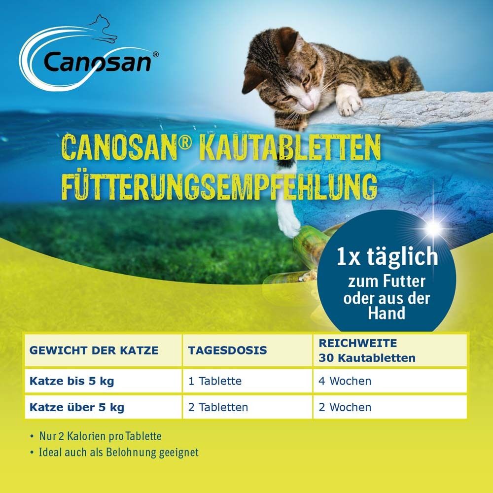 Werbebild mit Katze im Wasser. Text: Canosan® Kautabletten Fütterungsempfehlung. Dosierungstabelle.