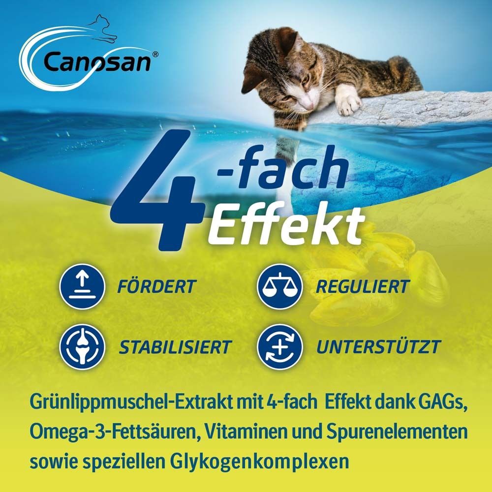 Werbebild mit Katze im Wasser. Text: 4-fach Effekt. Fördert, reguliert, stabilisiert, unterstützt.