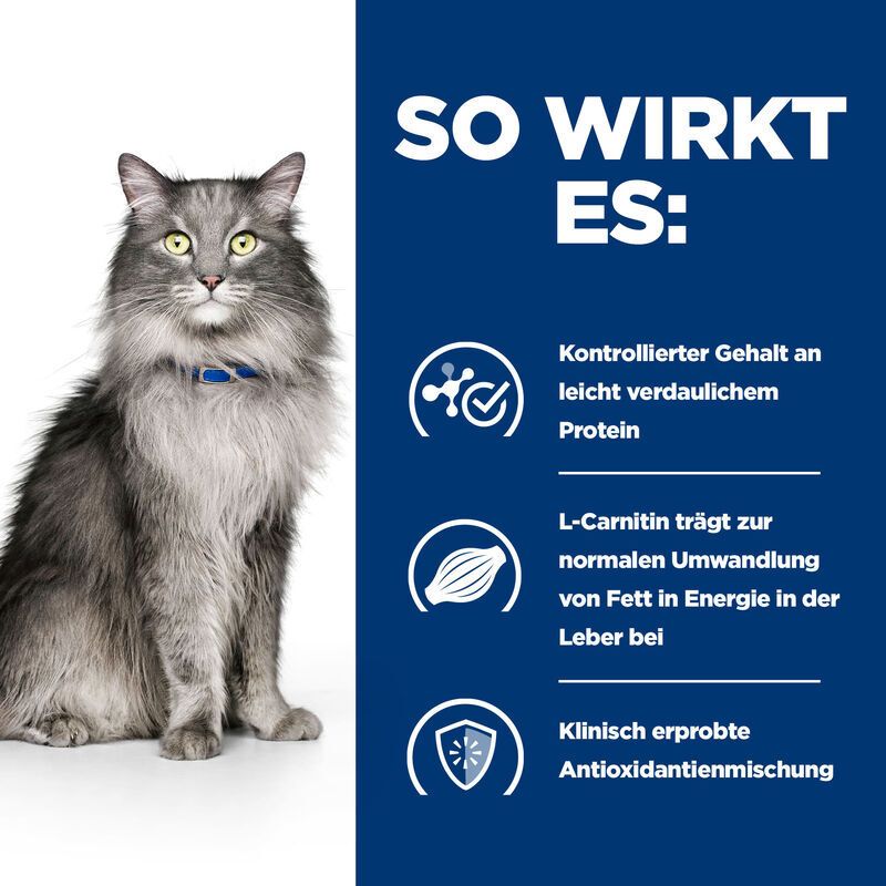 Grafik mit Katze und Text: SO WIRKT ES: Kontrollierter Gehalt an leicht verdaulichem Protein, L-Carnitin, Klinisch erprobte Antioxidantienmischung.