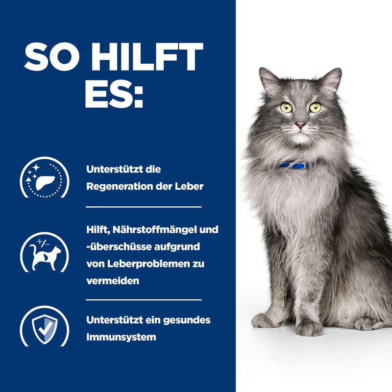 Grafik mit Katze und Text: SO HILFT ES: Unterstützt die Regeneration der Leber, Hilft, Nährstoffmängel zu vermeiden, Unterstützt ein gesundes Immunsystem.