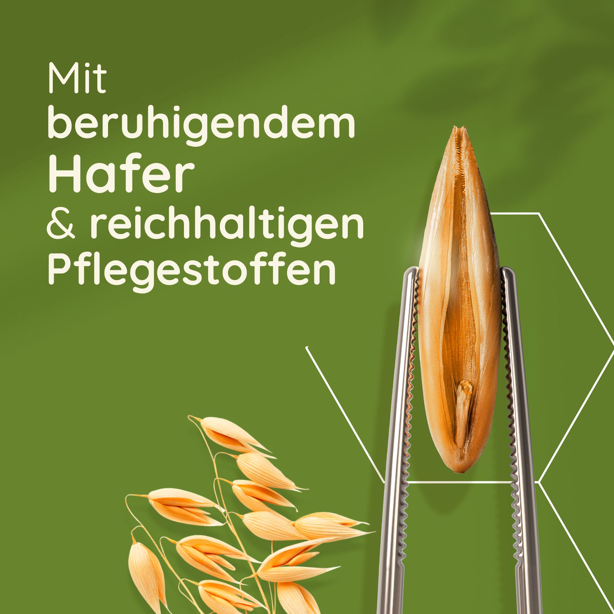 Haferkorn wird mit Pinzette gehalten. Text: Mit beruhigendem Hafer & reichhaltigen Pflegestoffen.