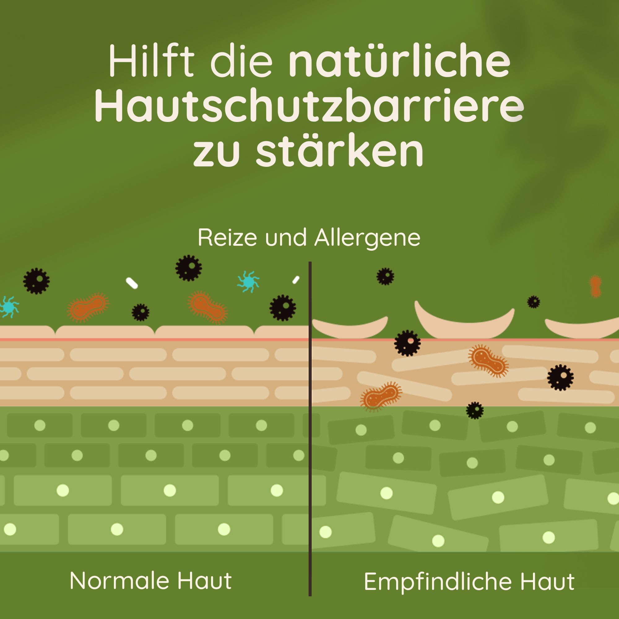 Grafik zeigt Hautschutzbarriere. Text: Hilft die natürliche Hautschutzbarriere zu stärken. Normale Haut, empfindliche Haut.