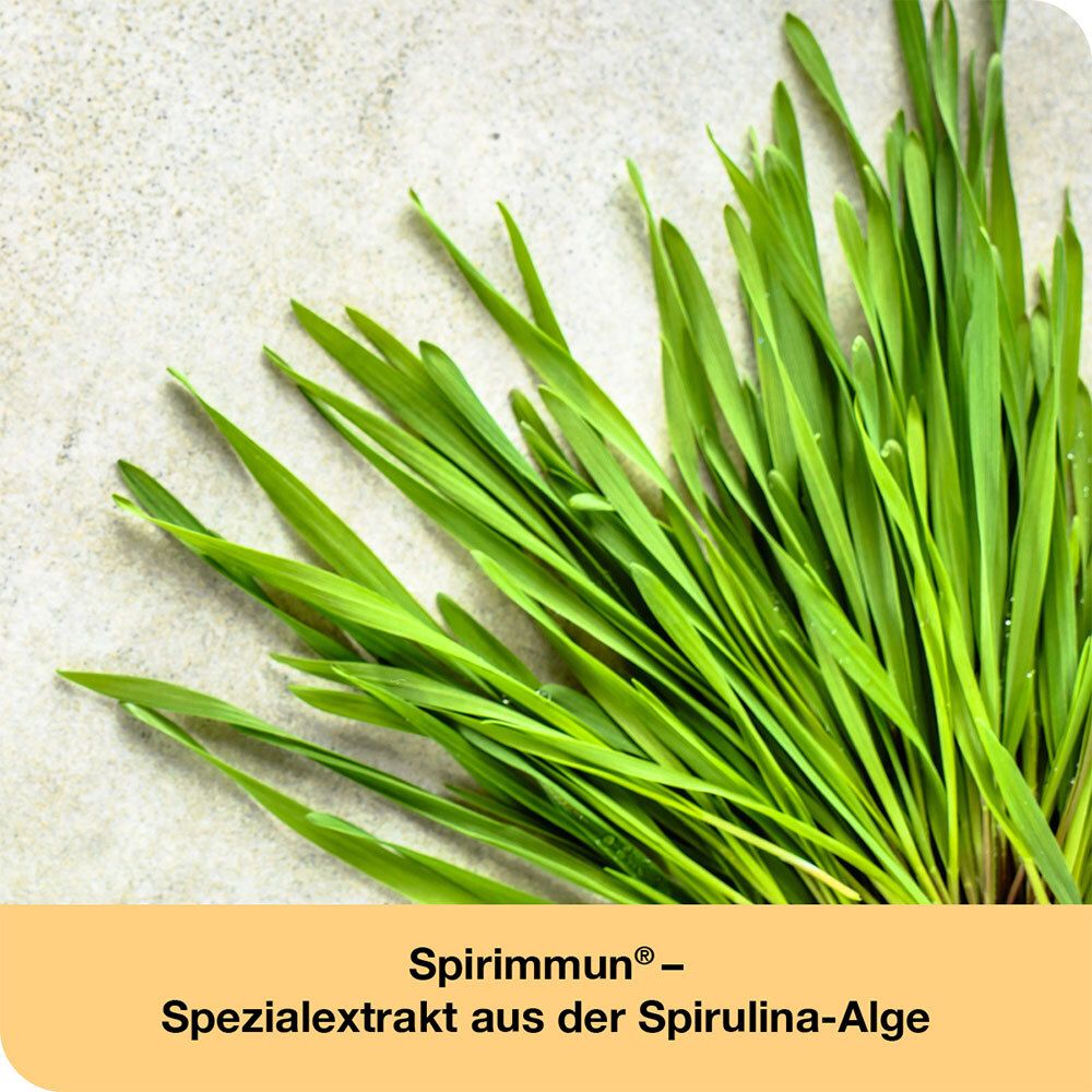 Grüne Spirulina-Algen. Text: Spirimmun® - Spezialextrakt aus der Spirulina-Alge.