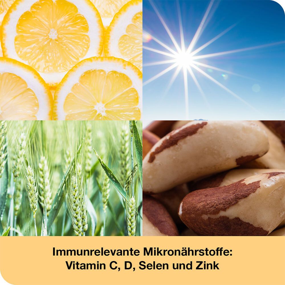 Vier Bilder: Zitronen, Sonne, Getreide, Paranüsse. Text: Immunrelevante Mikronährstoffe: Vitamin C, D, Selen und Zink.
