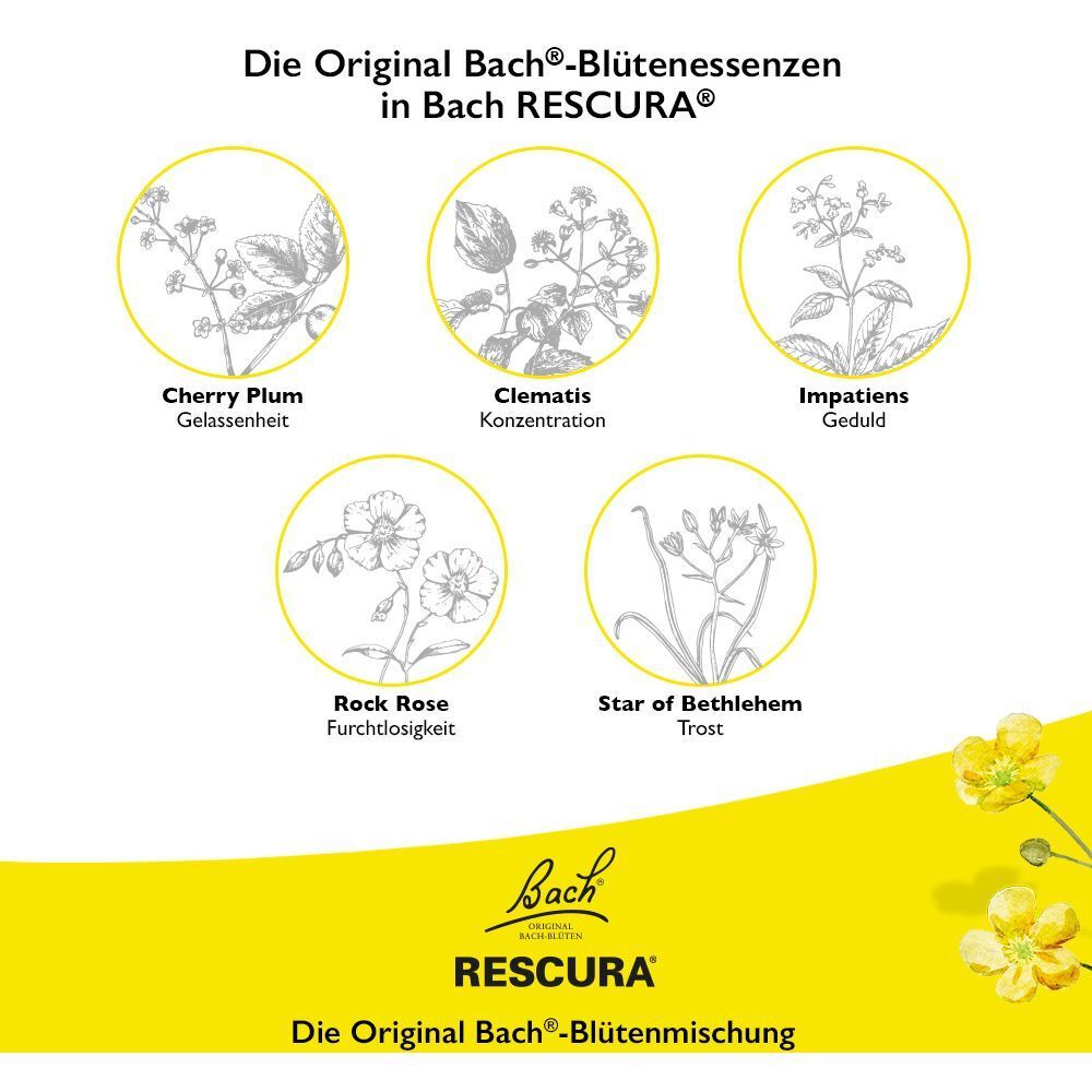 Gelber Hintergrund mit Illustrationen von Blüten. Text: Die Original Bach-Blütenessenzen in Bach RESCURA.