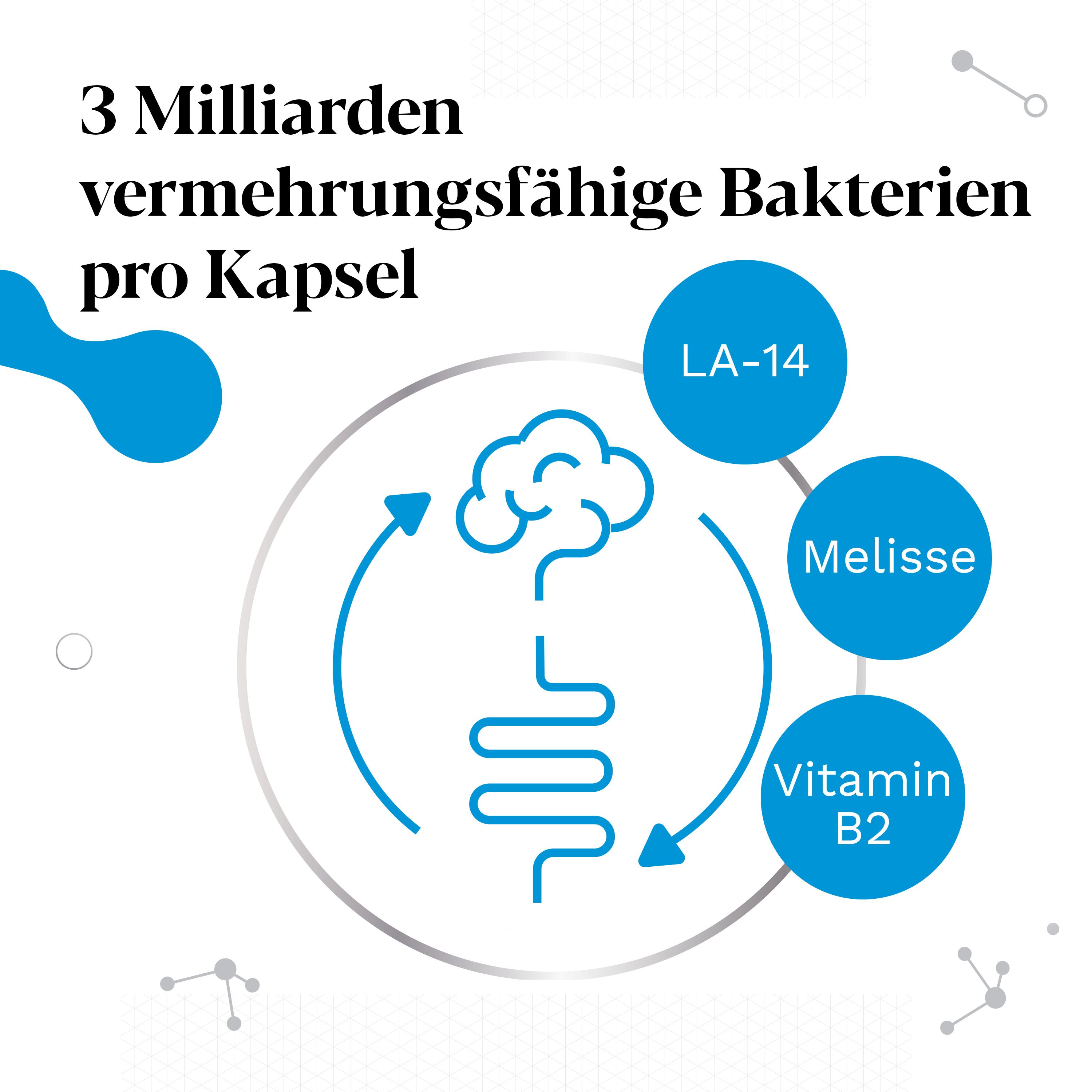 Grafik: 3 Milliarden vermehrungsfähige Bakterien pro Kapsel. Bestandteile: LA-14, Melisse, Vitamin B2. Darm-Symbol.