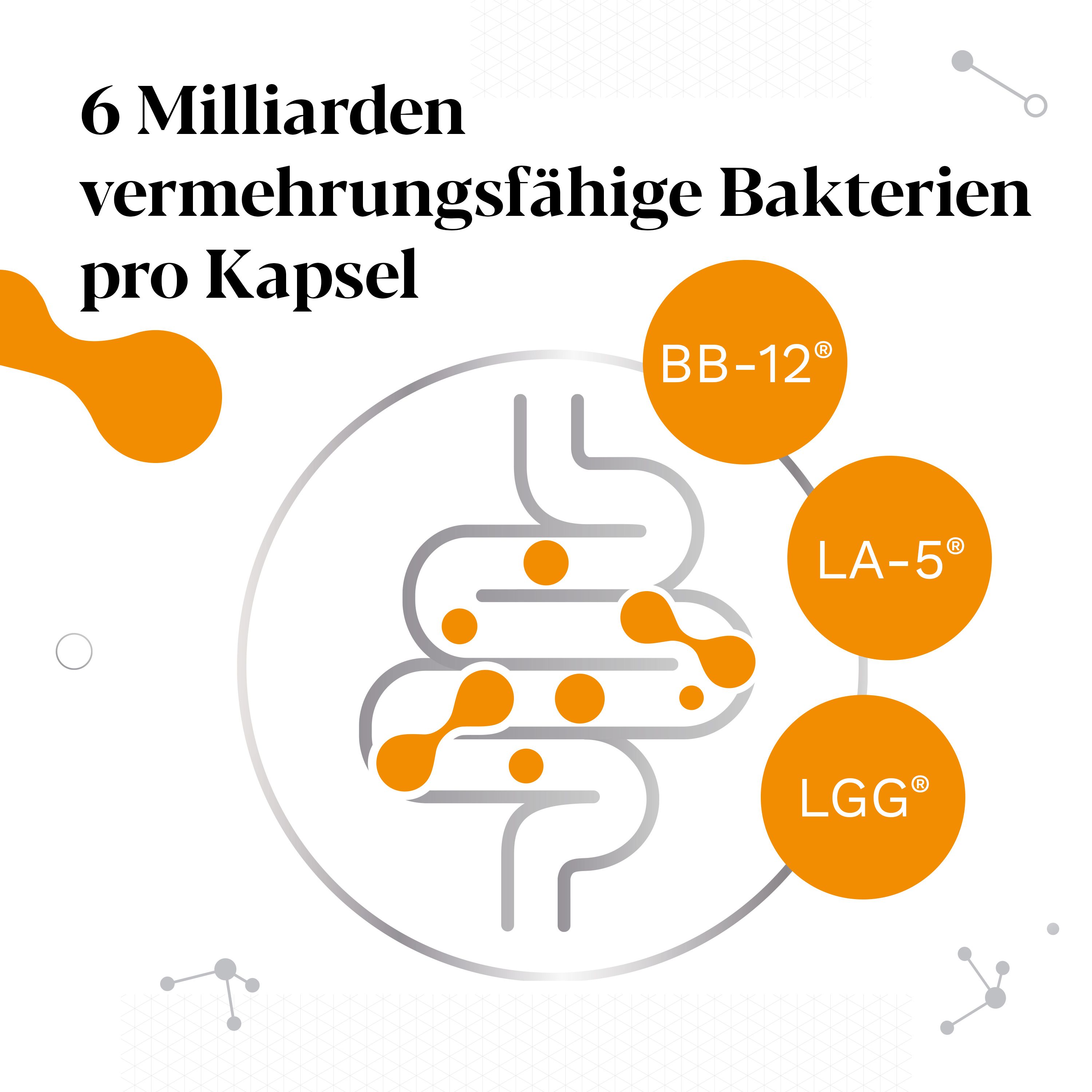 Grafik: 6 Milliarden vermehrungsfähige Bakterien pro Kapsel. Darm-Illustration mit BB-12®, LA-5®, LGG®.