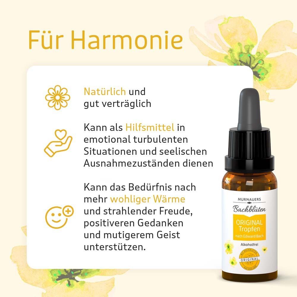 Braune Flasche mit Tropfer. Text: Für Harmonie. Text über natürliche und gut verträgliche Tropfen.