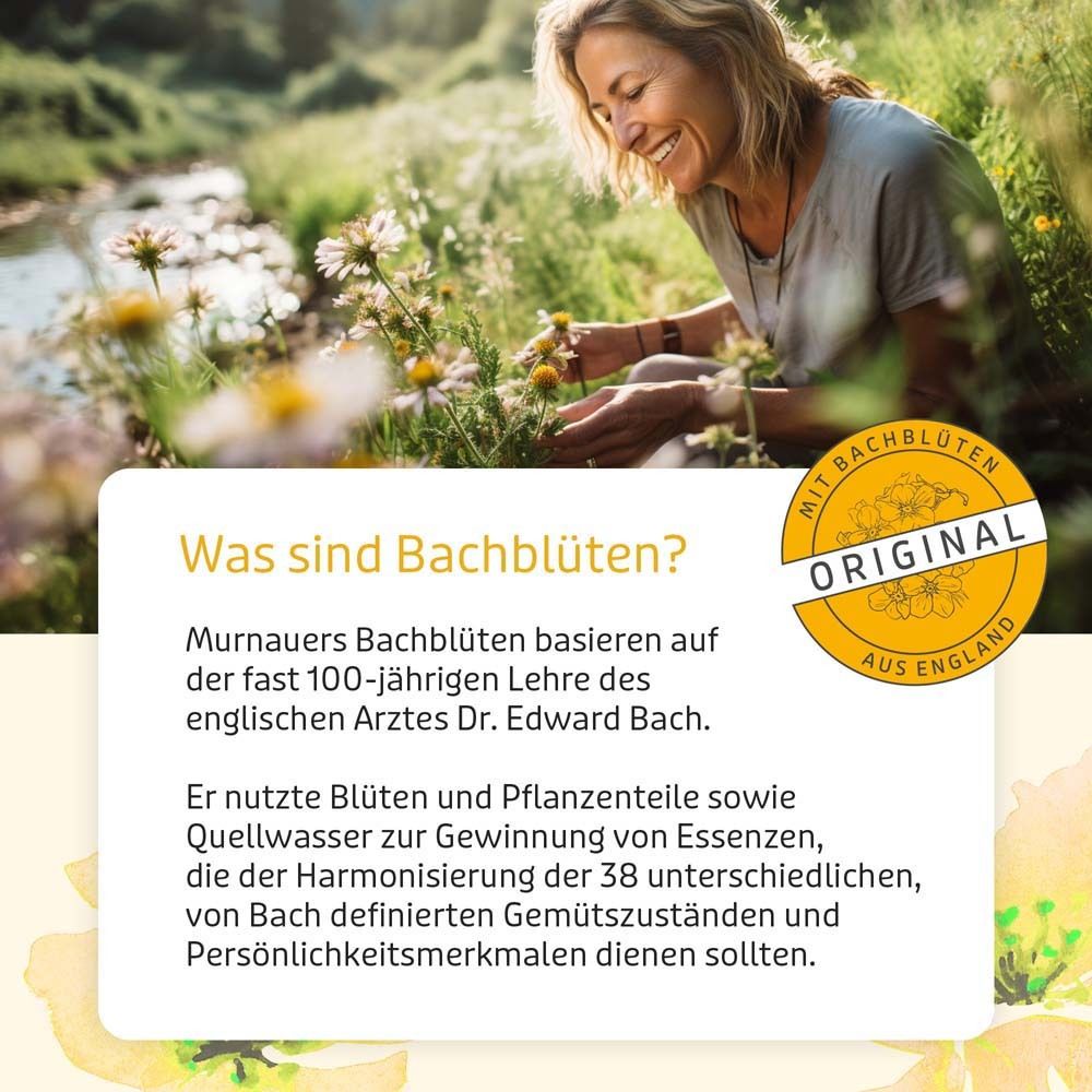Frau in Natur. Text: "Was sind Bachblüten?". Logo "Original".