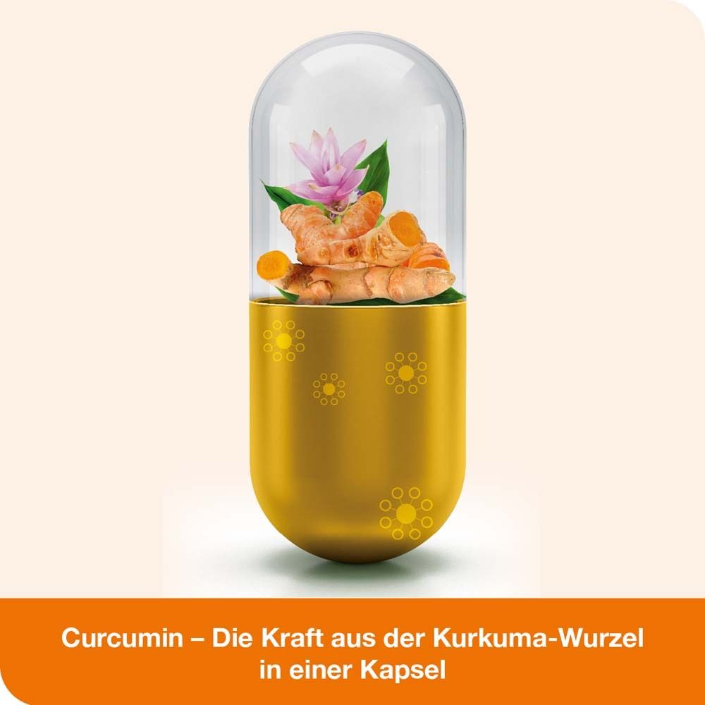 Kapsel mit Kurkuma-Wurzel und Blüte. Goldene Kapsel, transparente Kappe. Text: Die Kraft aus der Kurkuma-Wurzel.