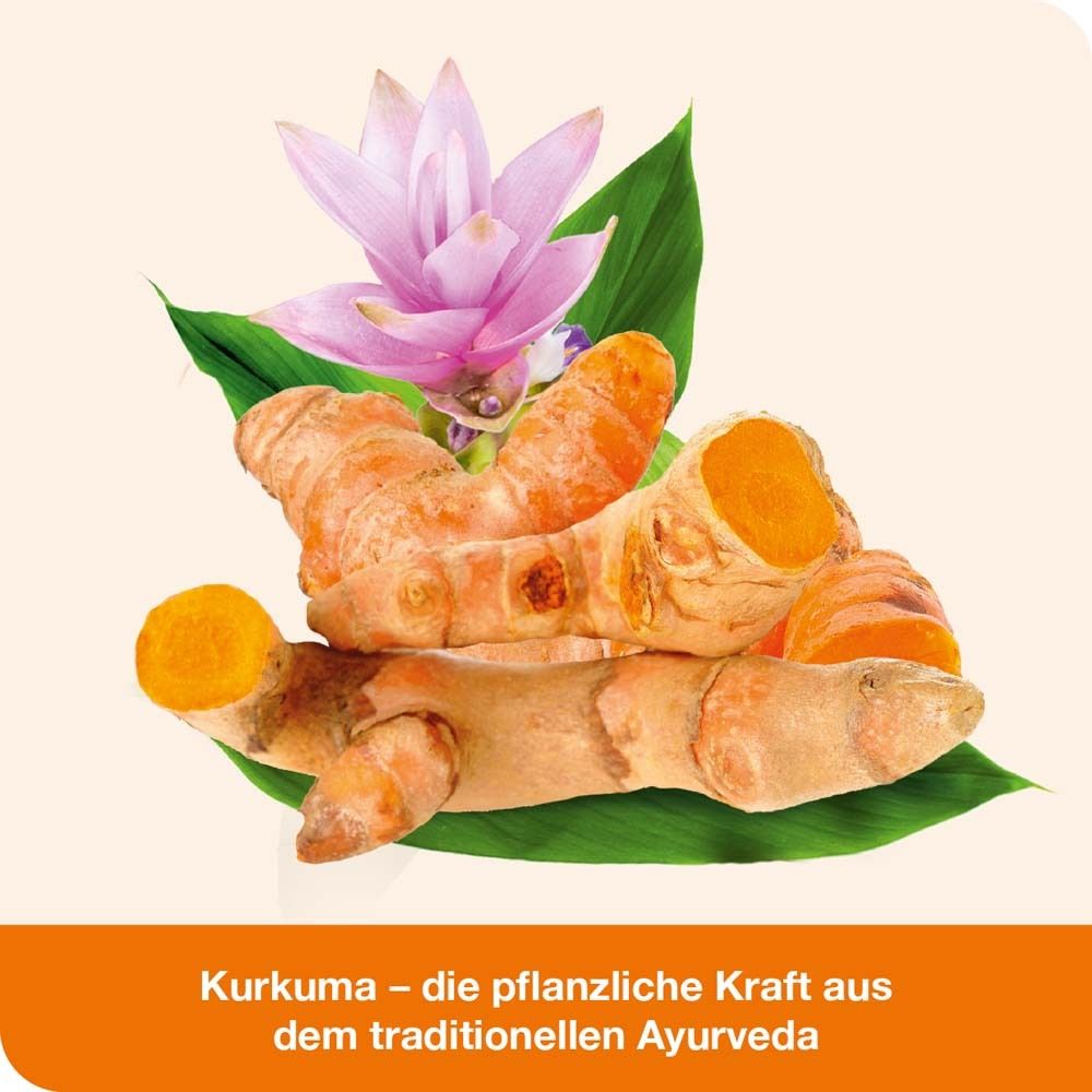 Kurkuma-Wurzeln und Blätter. Text: Die pflanzliche Kraft aus dem traditionellen Ayurveda.