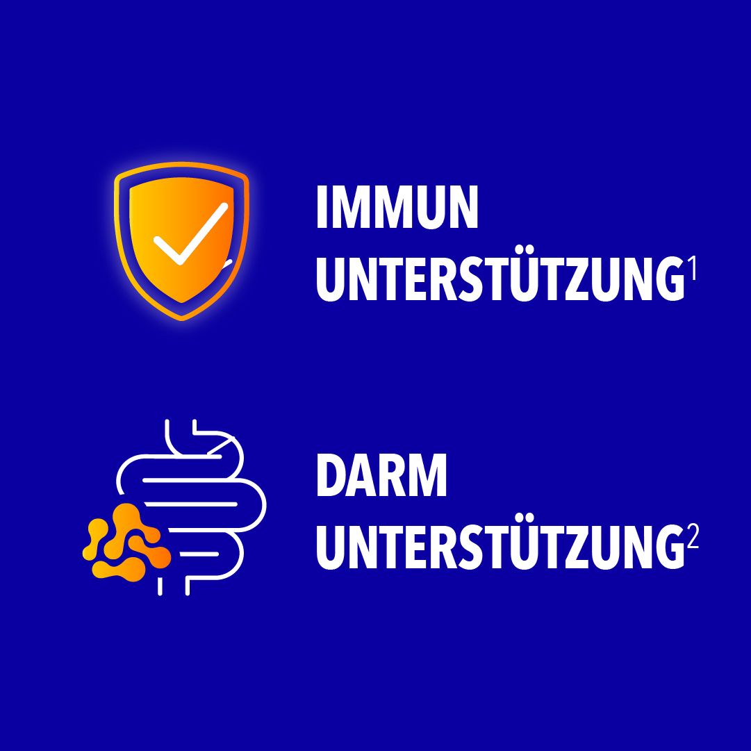Grafik mit gelbem Schild und Häkchen, Text: IMMUN UNTERSTÜTZUNG. Grafik: Darm mit Text: DARM UNTERSTÜTZUNG.