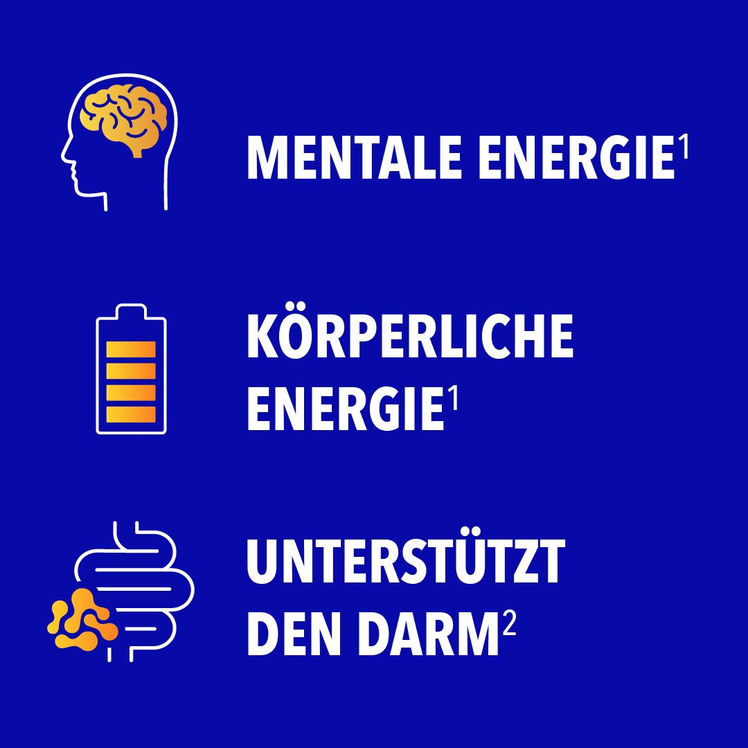 Grafik mit drei Icons: Gehirn, Batterie, Darm. Text: Mentale Energie, Körperliche Energie, Unterstützt den Darm.