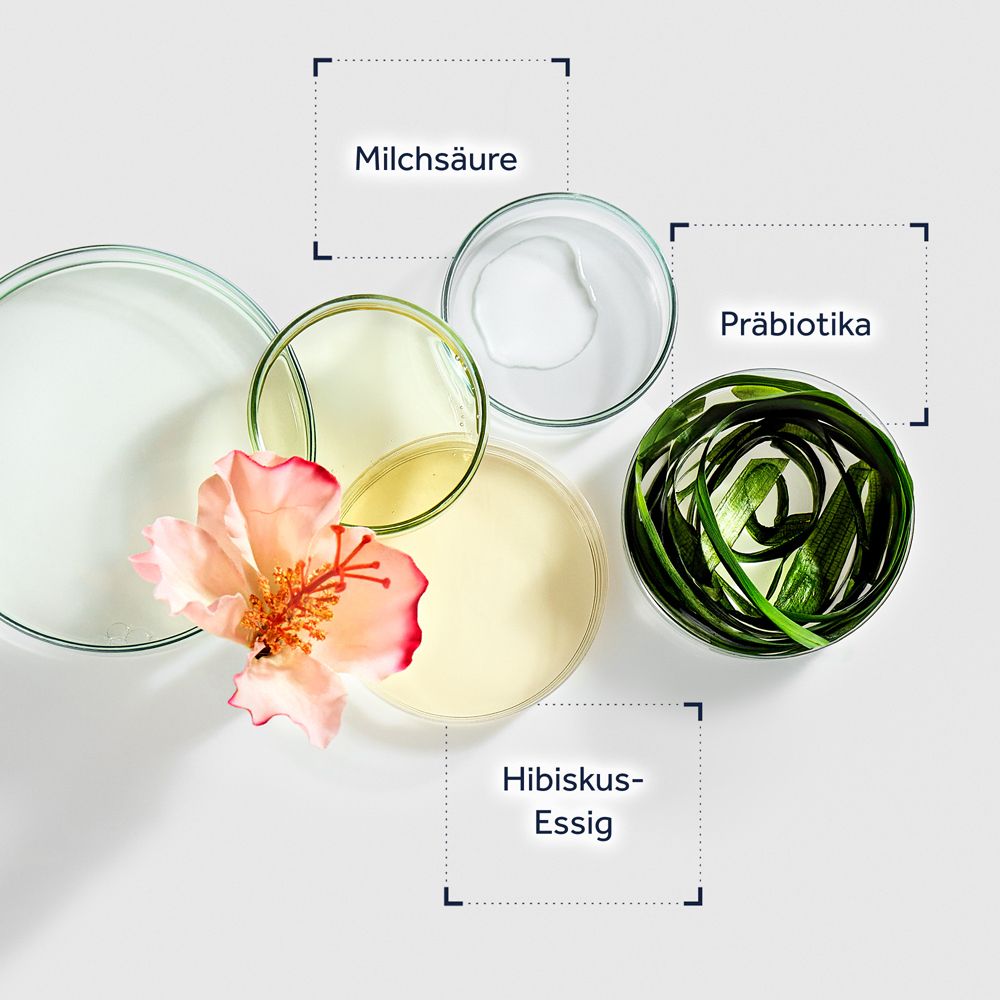 Petrischalen mit Milchsäure, Präbiotika, Hibiskus-Essig und einer Blüte.