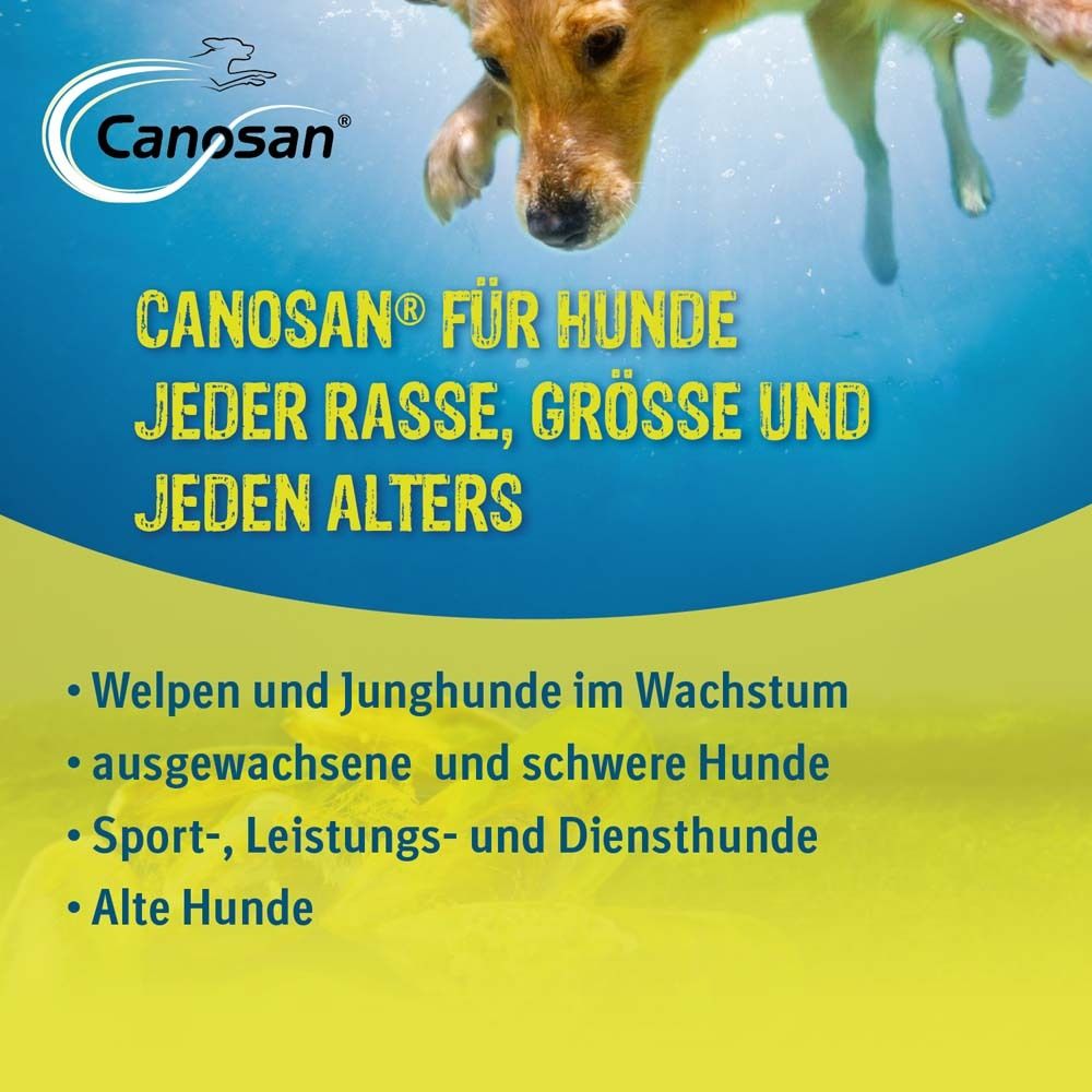 Canosan® Pellets bei Gelenkproblemen Hund mit Grünlippmuschel-Extrakt Gonex®