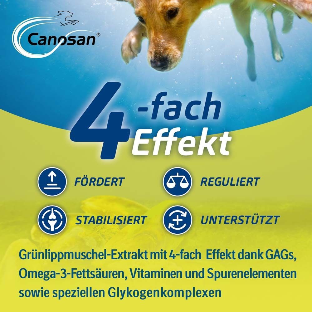 Canosan® Pellets bei Gelenkproblemen Hund mit Grünlippmuschel-Extrakt Gonex®