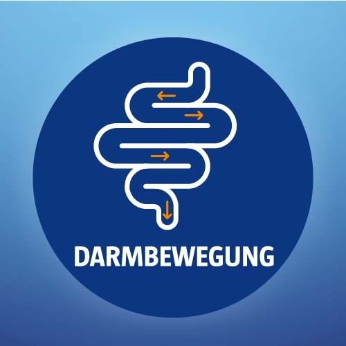 Blaues rundes Symbol mit weißer Darmdarstellung und Pfeilen. Text: Darmbewegung.