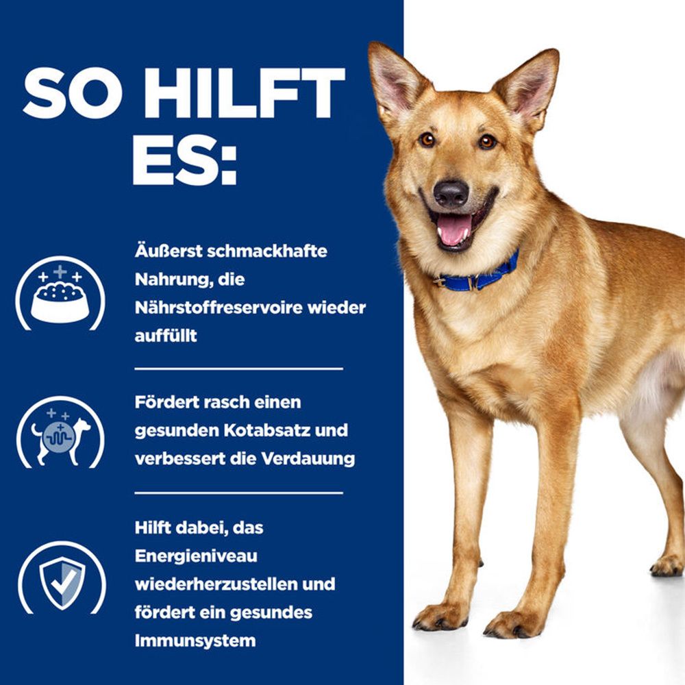Hund mit blauem Halsband. Text: "So hilft es:". Grafiken und Text beschreiben Vorteile: Nährstoffe, Kotabsatz, Immunsystem.