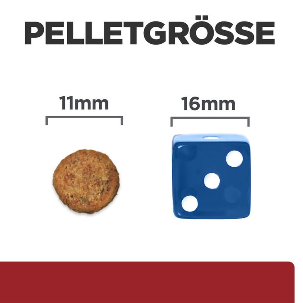 Vergleich der Pelletgrößen. Runde Pellets (11mm) und blauer Würfel (16mm) mit drei weißen Punkten.